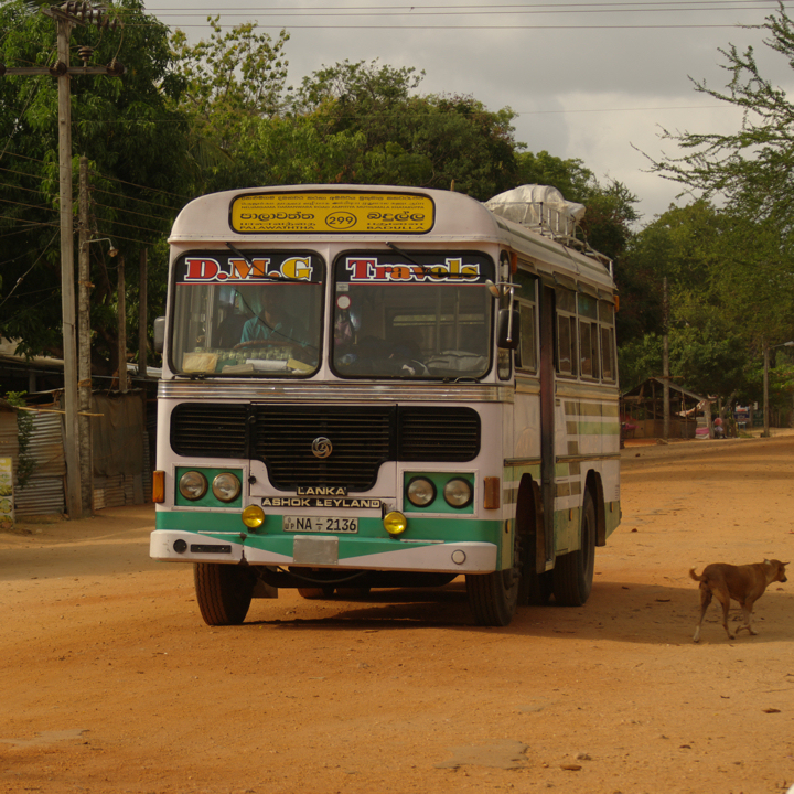 dambulla-buses