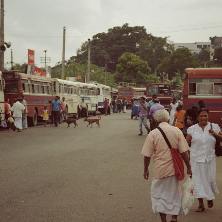 kandy-bus-stop_vintage
